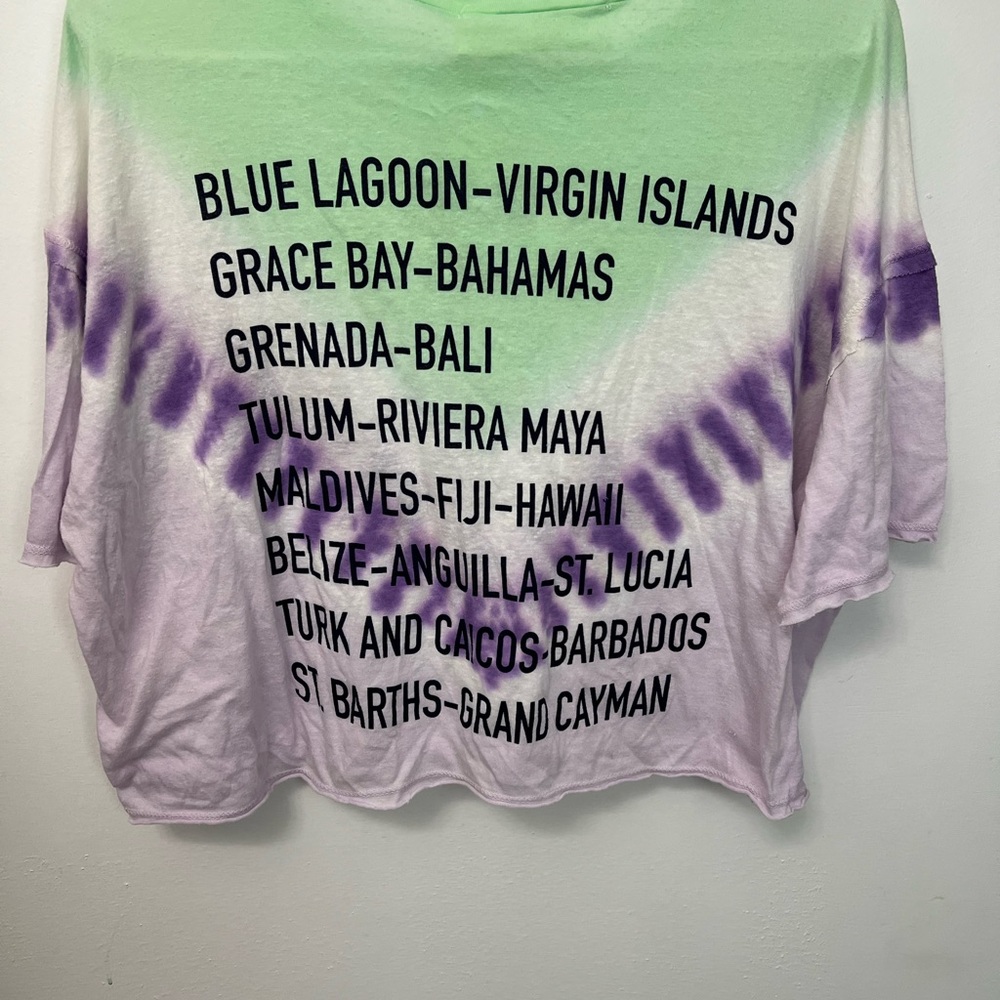 Vintage Havana Mint Green & Lavender Tie-Dye Scoop Neck Top